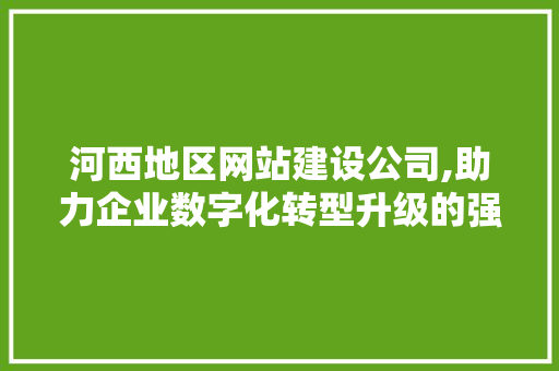 河西地区网站建设公司,助力企业数字化转型升级的强力伙伴