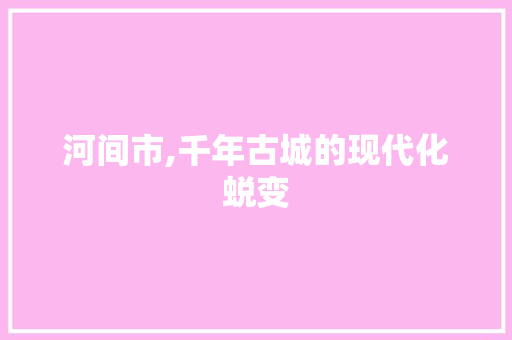 河间市,千年古城的现代化蜕变 河间市,千年古城的现代化蜕变 必应SEO