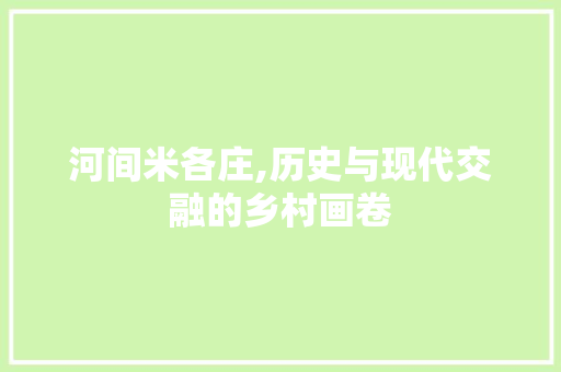 河间米各庄,历史与现代交融的乡村画卷