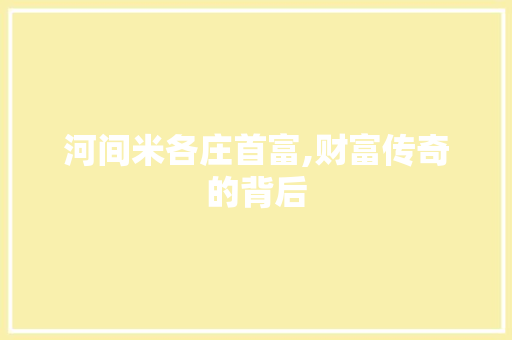 河间米各庄首富,财富传奇的背后