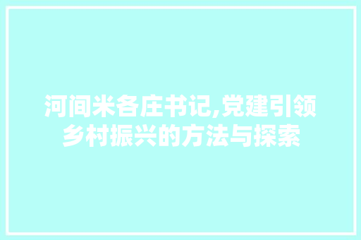 河间米各庄书记,党建引领乡村振兴的方法与探索