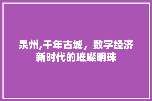 泉州,千年古城，数字经济新时代的璀璨明珠