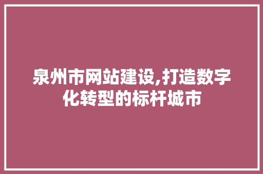 泉州市网站建设,打造数字化转型的标杆城市