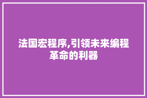 法国宏程序,引领未来编程革命的利器 法国宏程序,引领未来编程革命的利器 SEO关键词