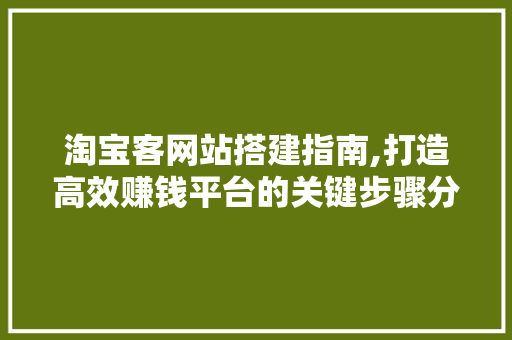 淘宝客网站搭建指南,打造高效赚钱平台的关键步骤分析