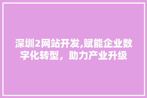 深圳2网站开发,赋能企业数字化转型，助力产业升级