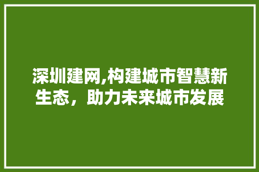 深圳建网,构建城市智慧新生态，助力未来城市发展 深圳建网,构建城市智慧新生态，助力未来城市发展 网站建设公司