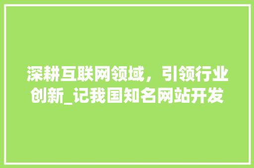 深耕互联网领域，引领行业创新_记我国知名网站开发公司