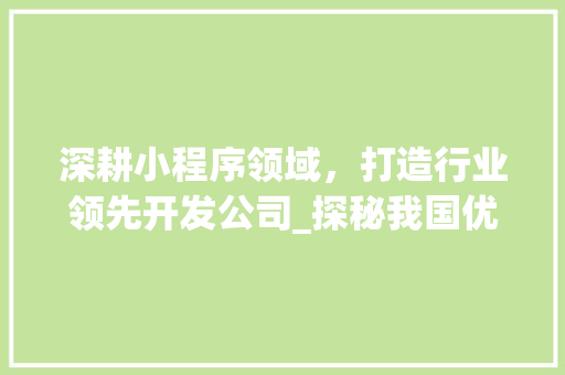 深耕小程序领域，打造行业领先开发公司_探秘我国优秀小程序开发公司