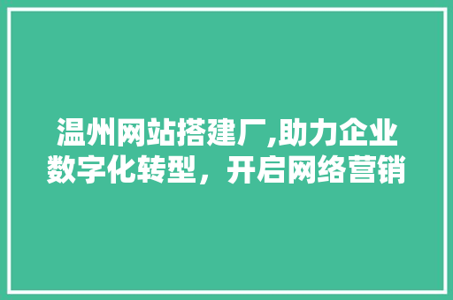 温州网站搭建厂,助力企业数字化转型，开启网络营销新篇章 温州网站搭建厂,助力企业数字化转型，开启网络营销新篇章 SEO关键词