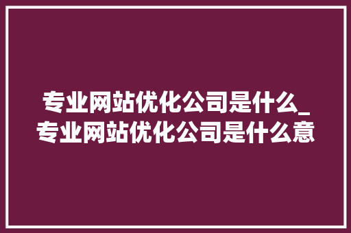 专业网站优化公司是什么_专业网站优化公司是什么意思。