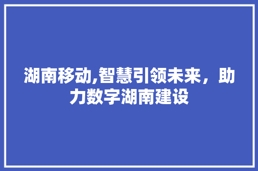 湖南移动,智慧引领未来，助力数字湖南建设