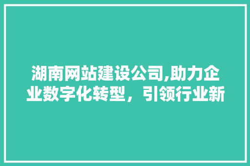 湖南网站建设公司,助力企业数字化转型，引领行业新风尚