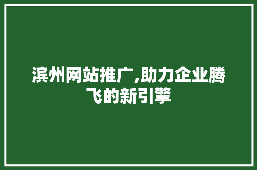 滨州网站推广,助力企业腾飞的新引擎