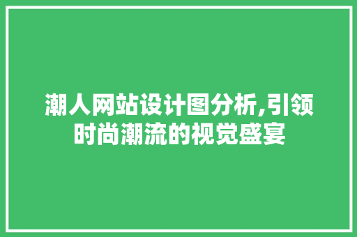 潮人网站设计图分析,引领时尚潮流的视觉盛宴