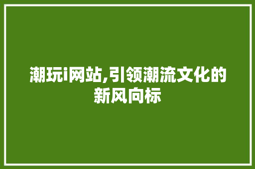 潮玩i网站,引领潮流文化的新风向标