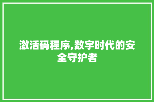 激活码程序,数字时代的安全守护者