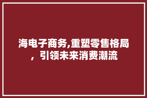 海电子商务,重塑零售格局，引领未来消费潮流