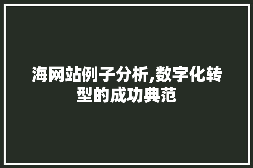 海网站例子分析,数字化转型的成功典范