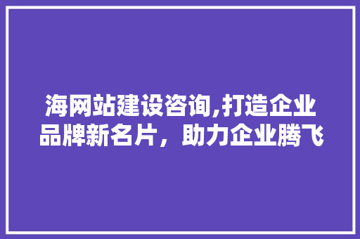 海网站建设咨询,打造企业品牌新名片，助力企业腾飞