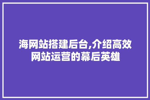 海网站搭建后台,介绍高效网站运营的幕后英雄