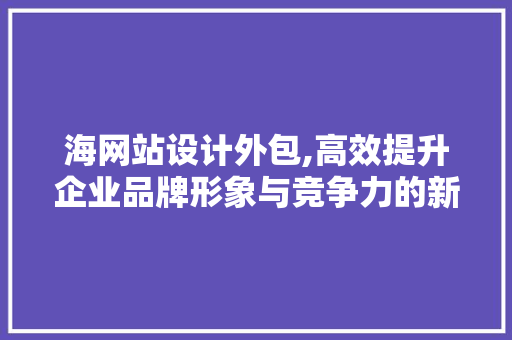 海网站设计外包,高效提升企业品牌形象与竞争力的新选择