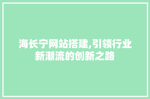 海长宁网站搭建,引领行业新潮流的创新之路