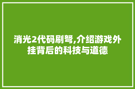 消光2代码刷弩,介绍游戏外挂背后的科技与道德
