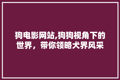 狗电影网站,狗狗视角下的世界，带你领略犬界风采