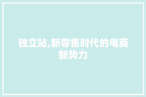 独立站,新零售时代的电商新势力 独立站,新零售时代的电商新势力 SEO关键词