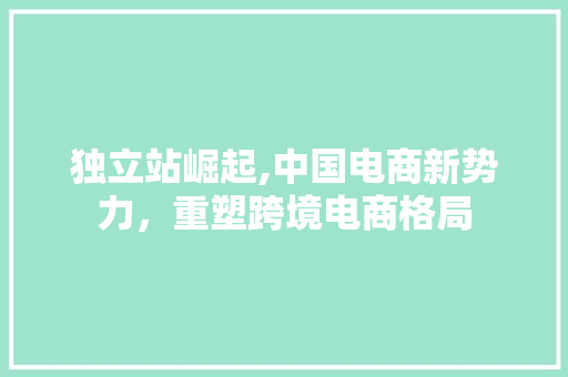 独立站崛起,中国电商新势力，重塑跨境电商格局 独立站崛起,中国电商新势力，重塑跨境电商格局 百度SEO