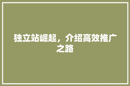 独立站崛起，介绍高效推广之路 独立站崛起，介绍高效推广之路 百度SEO