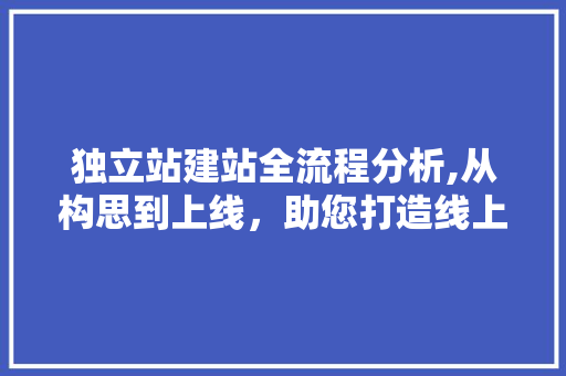 独立站建站全流程分析,从构思到上线，助您打造线上商业帝国 独立站建站全流程分析,从构思到上线，助您打造线上商业帝国 百度SEO