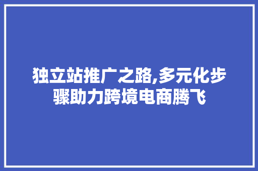 独立站推广之路,多元化步骤助力跨境电商腾飞 独立站推广之路,多元化步骤助力跨境电商腾飞 网站建设公司