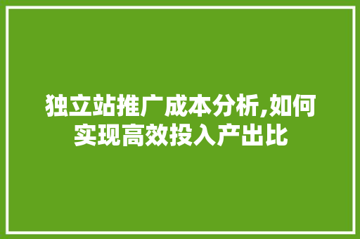 独立站推广成本分析,如何实现高效投入产出比 独立站推广成本分析,如何实现高效投入产出比 百度SEO