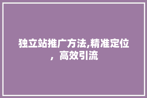 独立站推广方法,精准定位，高效引流 独立站推广方法,精准定位，高效引流 神马SEO