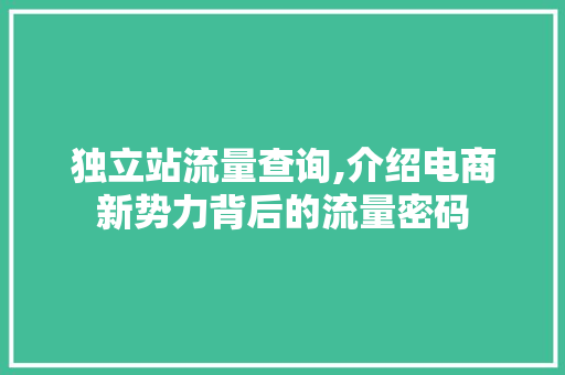 独立站流量查询,介绍电商新势力背后的流量密码 独立站流量查询,介绍电商新势力背后的流量密码 必应SEO