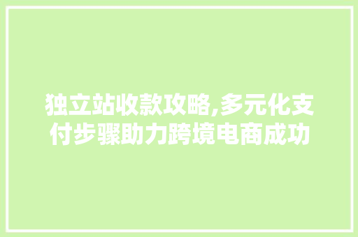 独立站收款攻略,多元化支付步骤助力跨境电商成功