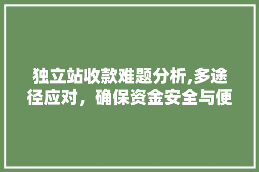 独立站收款难题分析,多途径应对，确保资金安全与便捷