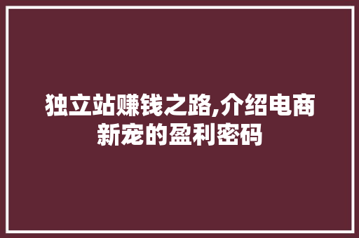 独立站赚钱之路,介绍电商新宠的盈利密码 独立站赚钱之路,介绍电商新宠的盈利密码 必应SEO