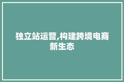 独立站运营,构建跨境电商新生态