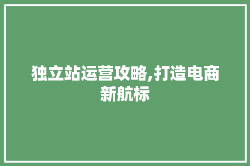 独立站运营攻略,打造电商新航标