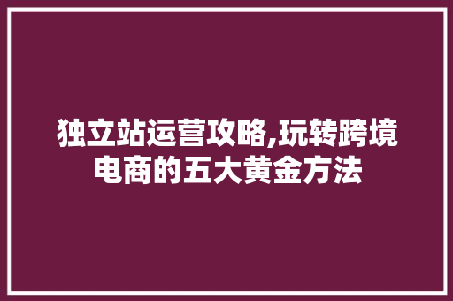 独立站运营攻略,玩转跨境电商的五大黄金方法