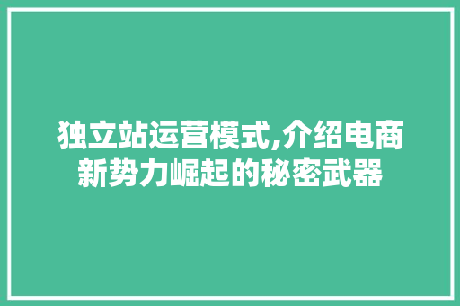 独立站运营模式,介绍电商新势力崛起的秘密武器