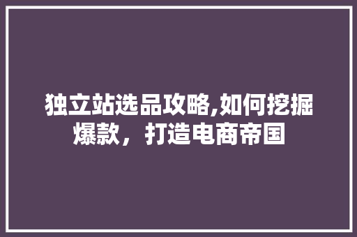 独立站选品攻略,如何挖掘爆款，打造电商帝国