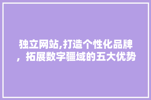 独立网站,打造个性化品牌，拓展数字疆域的五大优势