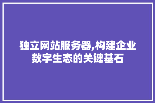 独立网站服务器,构建企业数字生态的关键基石 独立网站服务器,构建企业数字生态的关键基石 必应SEO