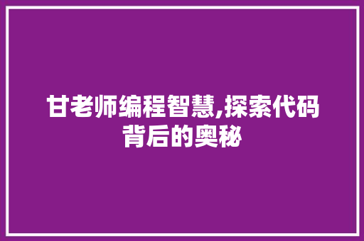 甘老师编程智慧,探索代码背后的奥秘