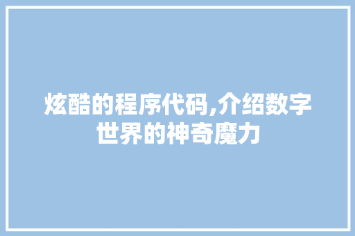 炫酷的程序代码,介绍数字世界的神奇魔力
