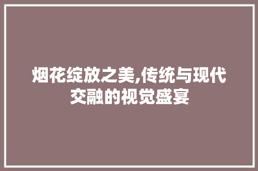 烟花绽放之美,传统与现代交融的视觉盛宴
